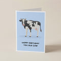 A folded greeting card standing upright on a light beige surface. The card features an illustration of a black-and-white cow on a pale blue background with the text 'HAPPY BIRTHDAY YOU OLD COW' printed below.