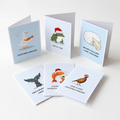 Six Christmas greeting cards arranged on a light neutral background. The cards feature humorous animal illustrations and relative puns underneath.